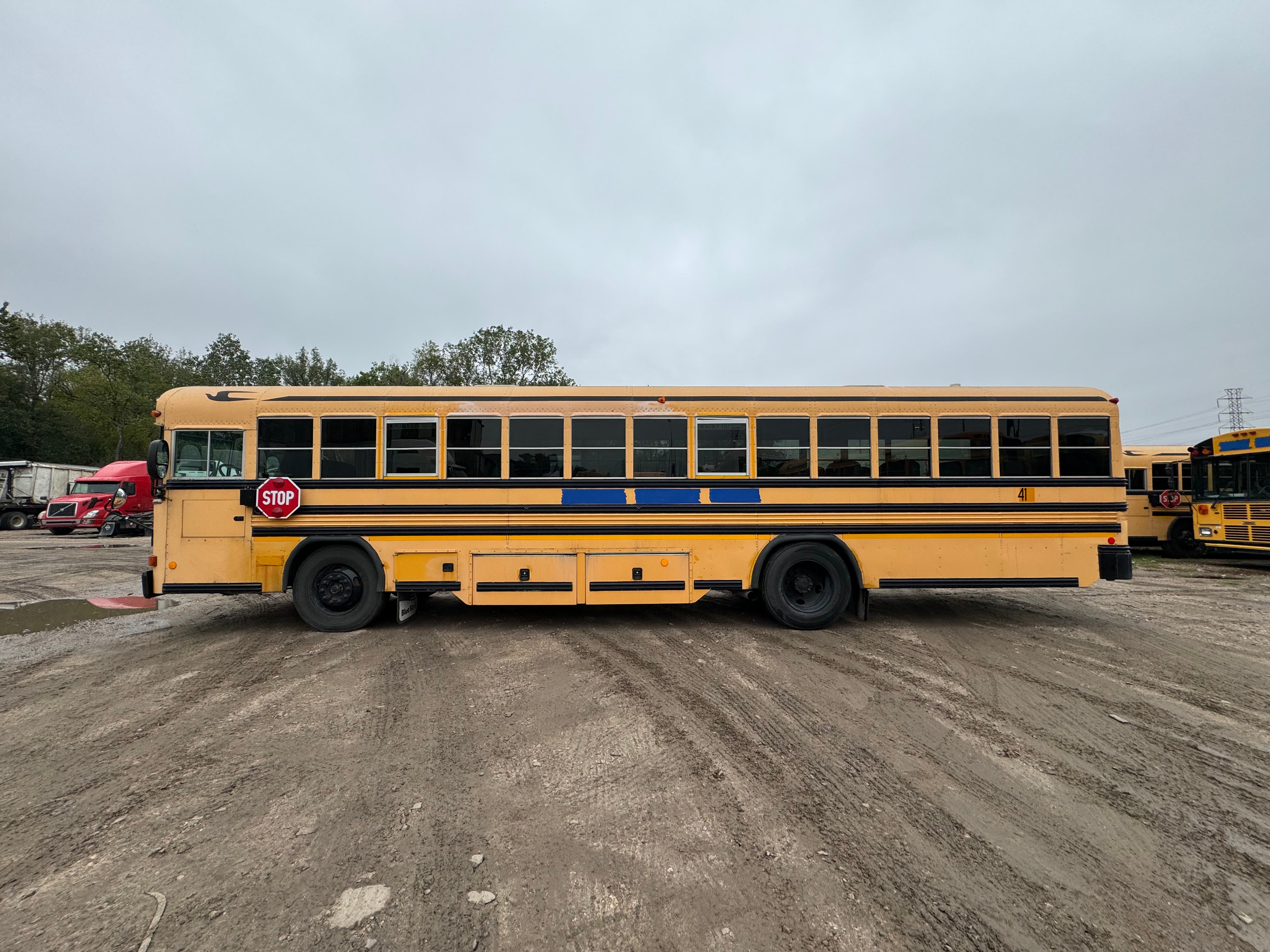 bluebird school bus 