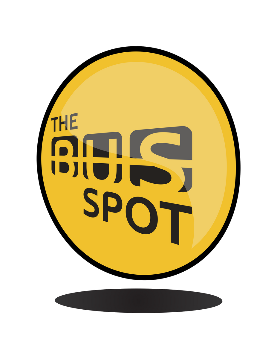 The Bus Spot Used School Bus For Sale the-bus-spot-used-school-bus-for-sale